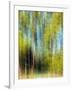 Tree Blur II-null-Framed Photographic Print