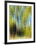Tree Blur II-null-Framed Photographic Print