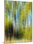 Tree Blur II-null-Mounted Photographic Print