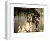 Tree Branch and Spanish Moss, Magnolia Plantation, Charleston, South Carolina, USA-Corey Hilz-Framed Photographic Print