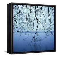 Tree Branch over Lake-Micha Pawlitzki-Framed Stretched Canvas