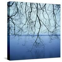Tree Branch over Lake-Micha Pawlitzki-Stretched Canvas