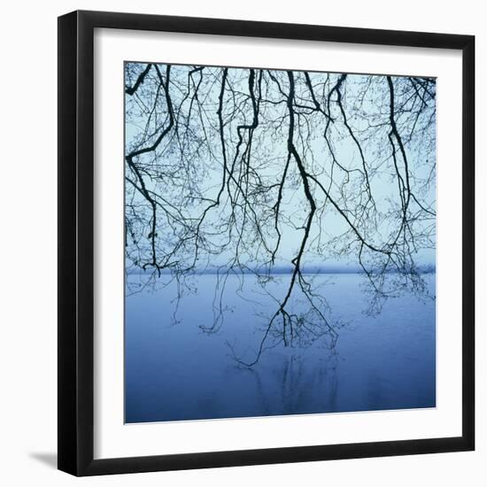 Tree Branch over Lake-Micha Pawlitzki-Framed Premium Photographic Print