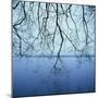 Tree Branch over Lake-Micha Pawlitzki-Mounted Premium Photographic Print