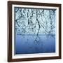 Tree Branch over Lake-Micha Pawlitzki-Framed Photographic Print