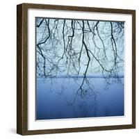 Tree Branch over Lake-Micha Pawlitzki-Framed Photographic Print