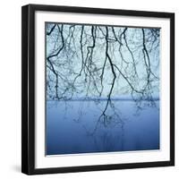 Tree Branch over Lake-Micha Pawlitzki-Framed Photographic Print