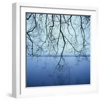 Tree Branch over Lake-Micha Pawlitzki-Framed Photographic Print