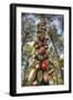 Tree Buoys-Robert Goldwitz-Framed Photographic Print