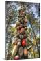 Tree Buoys-Robert Goldwitz-Mounted Photographic Print