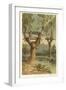 Tree Burial-null-Framed Giclee Print