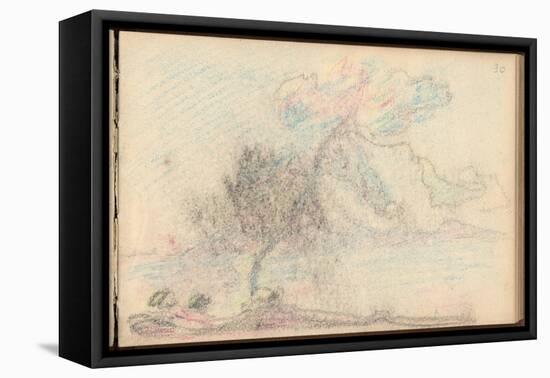 Tree by the Sea (Black Pencil and Pastel on Paper)-Claude Monet-Framed Stretched Canvas
