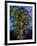 Tree, c.1930-Seraphine Louis-Framed Giclee Print
