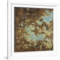 Tree Canopy-Liz Jardine-Framed Art Print