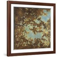 Tree Canopy-Liz Jardine-Framed Art Print