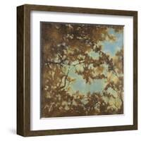 Tree Canopy-Liz Jardine-Framed Art Print