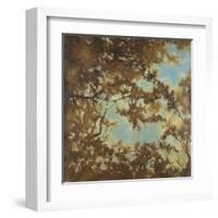 Tree Canopy-Liz Jardine-Framed Art Print