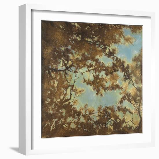 Tree Canopy-Liz Jardine-Framed Art Print