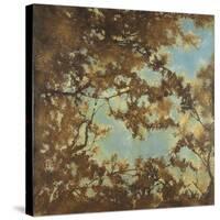 Tree Canopy-Liz Jardine-Stretched Canvas