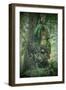 Tree Chief, California Redwood Coast-Vincent James-Framed Photographic Print