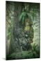 Tree Chief, California Redwood Coast-Vincent James-Mounted Photographic Print