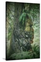 Tree Chief, California Redwood Coast-Vincent James-Stretched Canvas