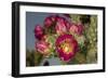 Tree cholla in bloom, high desert of Edgewood, New Mexico-Maresa Pryor-Framed Photographic Print