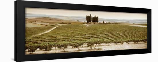 Tree Circle, Tuscany-Trevor Neal-Framed Giclee Print