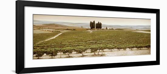 Tree Circle, Tuscany-Trevor Neal-Framed Giclee Print