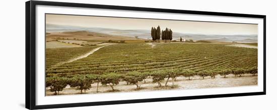 Tree Circle, Tuscany-Trevor Neal-Framed Giclee Print