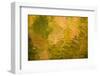 Tree Colours Reflected on the Galovac Water Surface, Upper Lakes, Plitvice Lakes Np, Croatia-Biancarelli-Framed Photographic Print