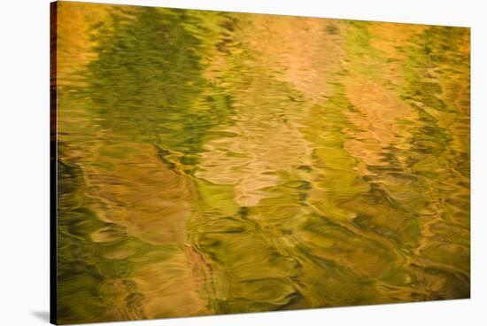Tree Colours Reflected on the Galovac Water Surface, Upper Lakes, Plitvice Lakes Np, Croatia-Biancarelli-Stretched Canvas