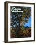 "Tree," Country Gentleman Cover, October 1, 1941-null-Framed Giclee Print