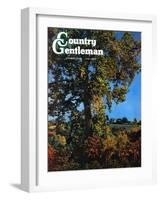 "Tree," Country Gentleman Cover, October 1, 1941-null-Framed Giclee Print