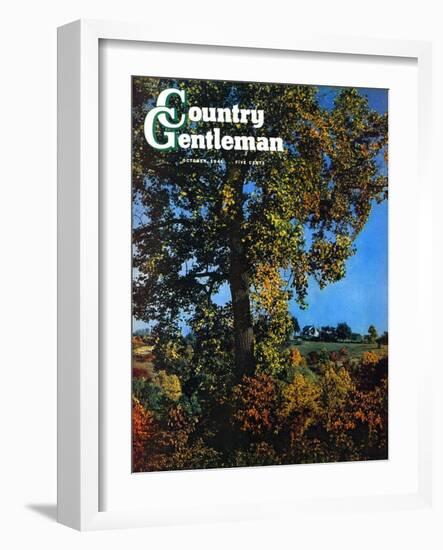 "Tree," Country Gentleman Cover, October 1, 1941-null-Framed Giclee Print