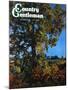 "Tree," Country Gentleman Cover, October 1, 1941-null-Mounted Giclee Print