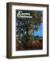 "Tree," Country Gentleman Cover, October 1, 1941-null-Framed Giclee Print