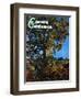 "Tree," Country Gentleman Cover, October 1, 1941-null-Framed Giclee Print