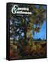 "Tree," Country Gentleman Cover, October 1, 1941-null-Framed Stretched Canvas