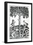 Tree Cutting from 'Singularities of France Antarctique', by Andre De Thevet, 1558-null-Framed Giclee Print