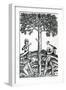 Tree Cutting from 'Singularities of France Antarctique', by Andre De Thevet, 1558-null-Framed Giclee Print