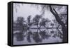Tree Dance - Reflections at Marin County Pond California-Vincent James-Framed Stretched Canvas