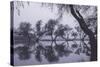 Tree Dance - Reflections at Marin County Pond California-Vincent James-Stretched Canvas