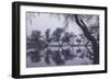 Tree Dance - Reflections at Marin County Pond California-Vincent James-Framed Photographic Print