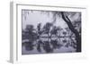 Tree Dance - Reflections at Marin County Pond California-Vincent James-Framed Photographic Print