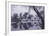 Tree Dance - Reflections at Marin County Pond California-Vincent James-Framed Photographic Print