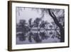 Tree Dance - Reflections at Marin County Pond California-Vincent James-Framed Photographic Print