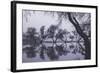 Tree Dance - Reflections at Marin County Pond California-Vincent James-Framed Photographic Print