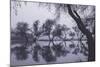 Tree Dance - Reflections at Marin County Pond California-Vincent James-Mounted Photographic Print
