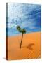 Tree Desert Sand-sergeytimofeev-Stretched Canvas